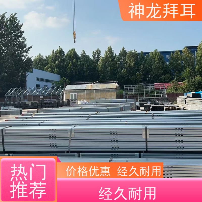 神龙拜耳 农业光伏支架 长期保值 公司