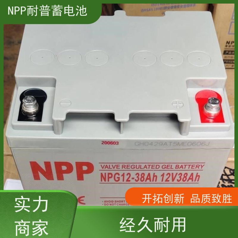 UPS不间断电源蓄电池 NPG12-200  铅酸胶体阀控式  维护保养