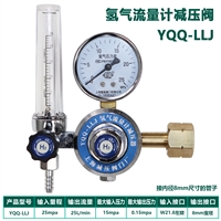 YQQ-LLJ���������Ƽ�ѹ�� W21.8����40��������ƿÿ����25��������