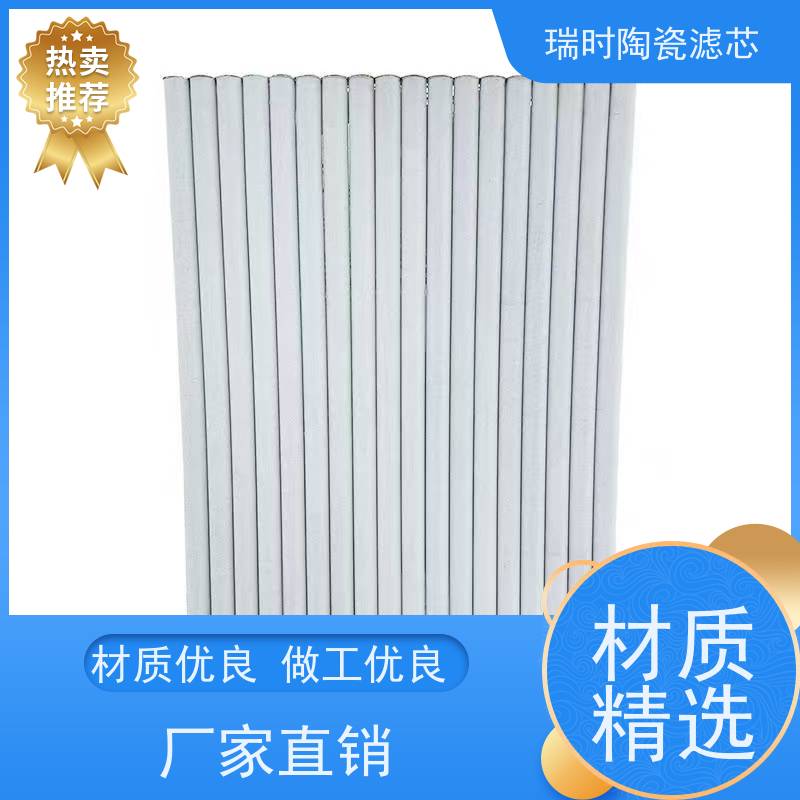 安心之选 陶瓷烧结滤芯（高密度硅藻土滤芯）瑞时净水器专用 食品级材质守护全家健康