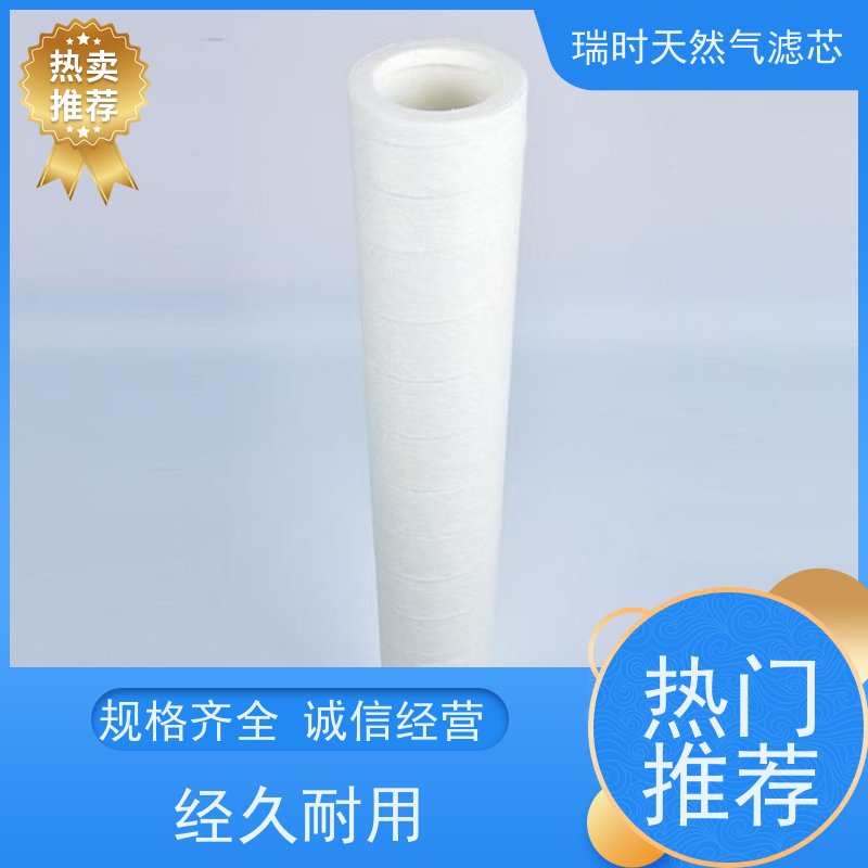 品质天然气滤芯（燃气净化器）瑞时制造 多层过滤 保护燃气设备