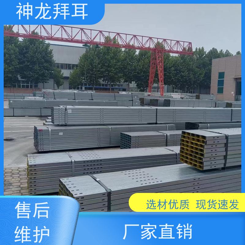 河北神龙拜耳 镀铝镁锌光伏支架 稳定可靠 供应