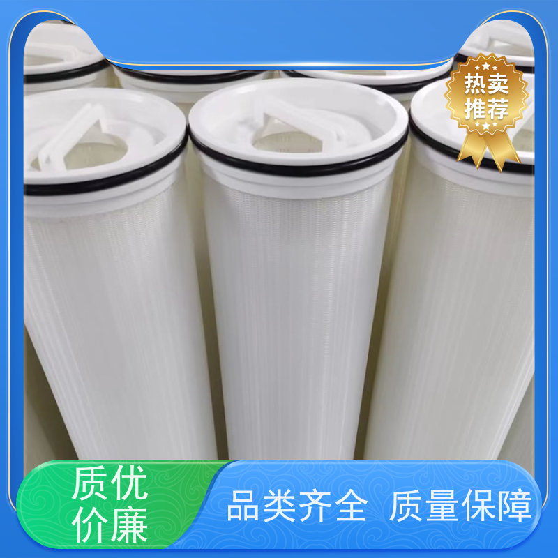 优质水源保障 瑞时大流量PP滤芯（双通道滤芯） 商用净水系统专用