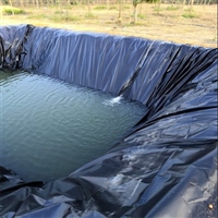 奶牛养殖防渗膜粪污厌氧池塘膜