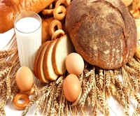 贵州省公共营养师证报考需要多少钱