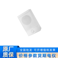 壁挂音箱 DS-KBS3101-W