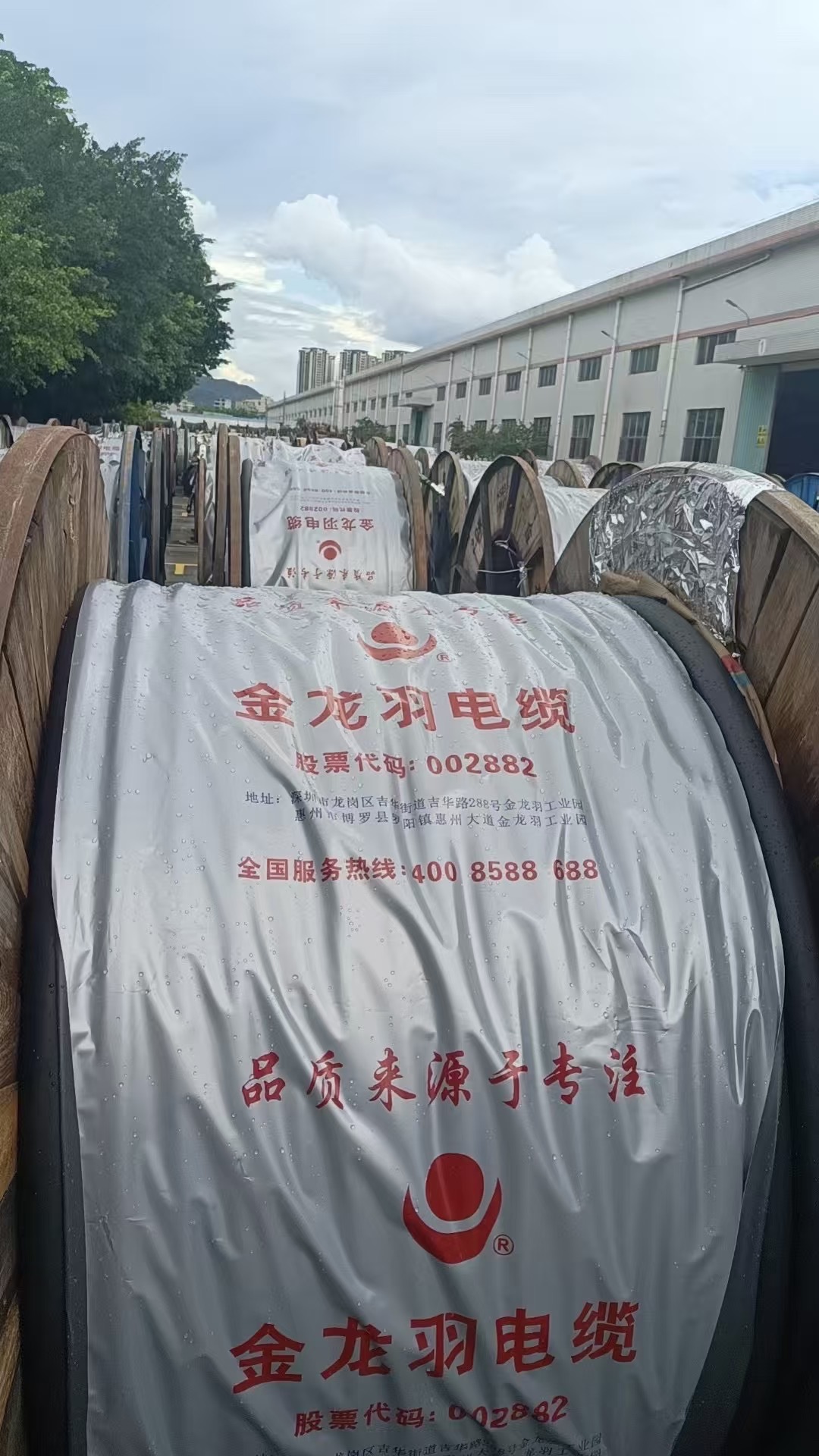 金龙羽ZC-YJV 电缆