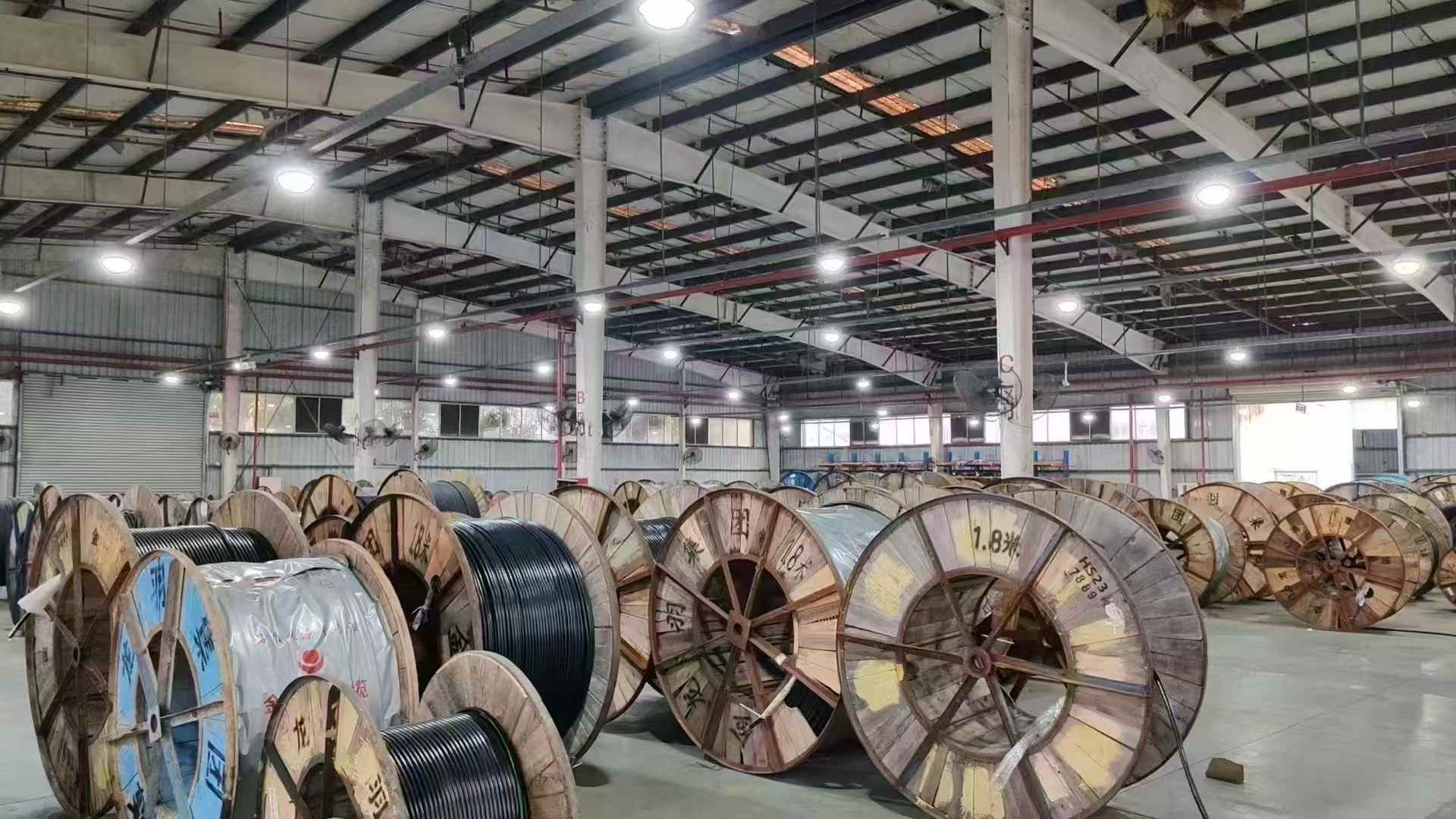 金龙羽WDZB-YJY,低烟无卤铜芯电力电缆