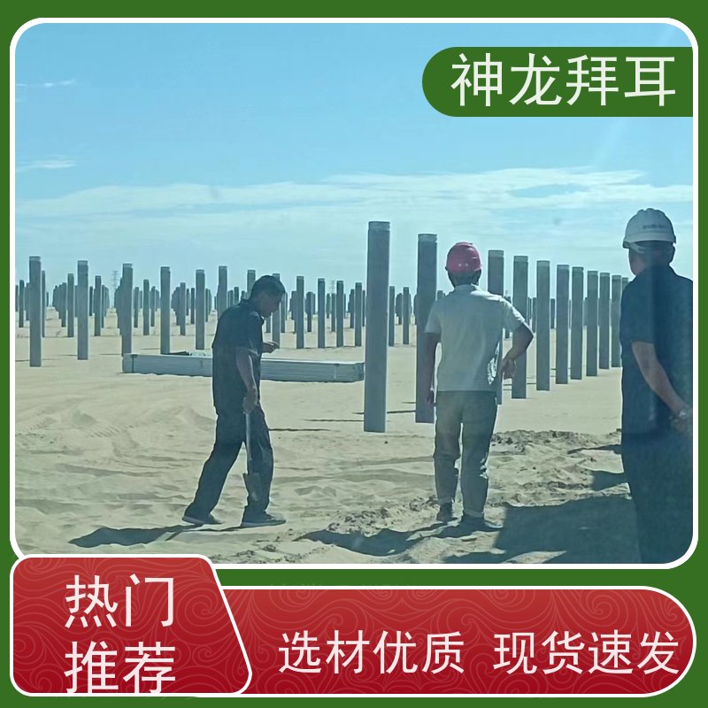 神龙拜耳 农业光伏支架 便捷 厂