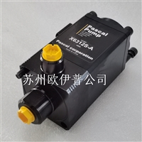 PASCAL PUMP帕斯卡气动泵X6312S-A增压泵液压泵