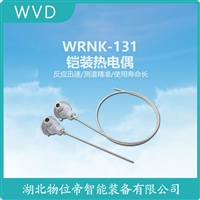 WZCF-130铠装铂热电阻 接线说明