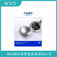 WGRD006热电偶 WVD