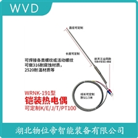 WREK-121热电偶 WVD
