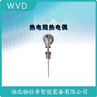 WRT-430热电偶 WVD