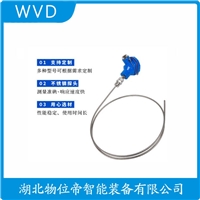 WREK-581热电偶 WVD
