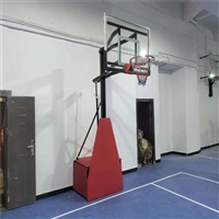台州 儿童球架 固定单臂双头 钢化玻璃板