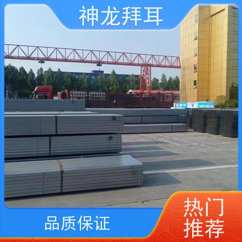 河北神龙拜耳 光伏支架组件 人性化设计 生产厂家