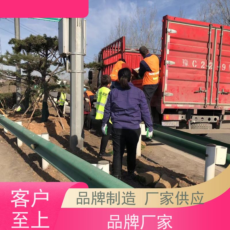 洛阳万绿苗圃 别墅庭院 百慕大草坪 耐践踏 维护简单