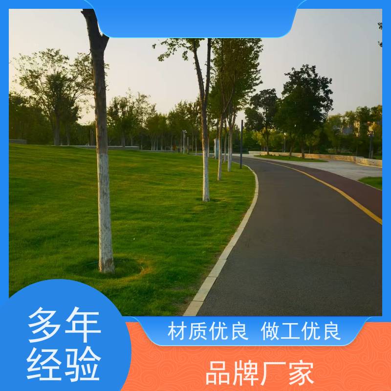 洛阳万绿苗圃 别墅庭院 真草皮四季青 耐践踏 维护简单