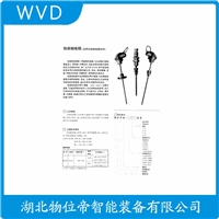 WRNK-232热电偶 WVD