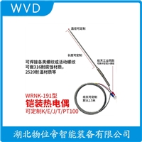 WEK2-630/PS-02热电偶 使用方法