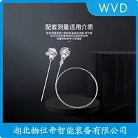 WRN2-331热电偶 WVD