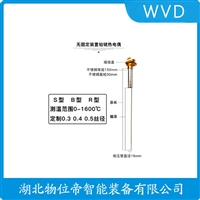WRE2-630/PS-05热电偶 WVD