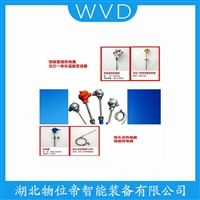 WGRD008热电偶 WVD
