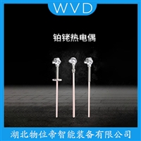 WRT-221热电偶 WVD