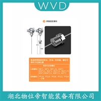 WR300热电偶 WVD