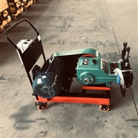  电动试压泵 型号:WT28-3DY-600/40