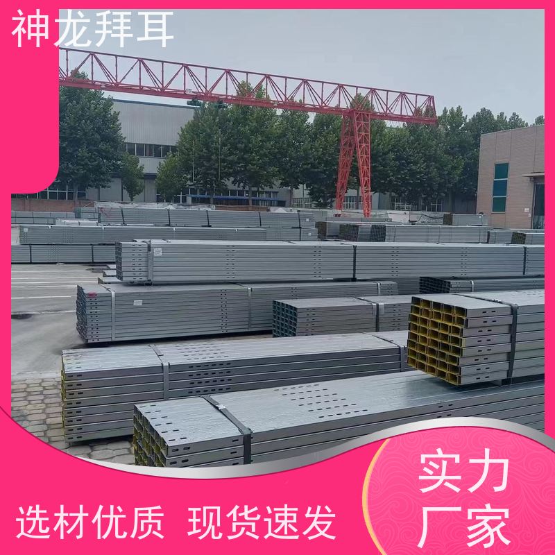 河北神龙拜耳 光伏支架冲孔机 沉浸式体验 价格