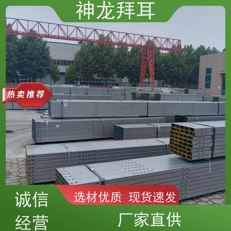 河北神龙拜耳 太阳能光伏支架成型机 高性能 厂商