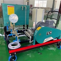  电动试压泵 型号：WT28-3DY-4000/10MPa