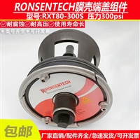 ronsentech反渗透净水设备8040玻璃钢膜壳端盖堵头密封圈