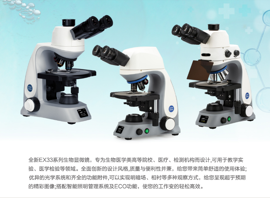 正置生物显微镜