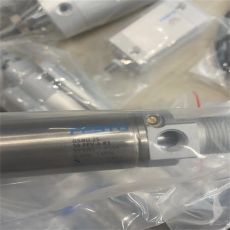FESTO费斯托气缸DSBC-100-100-PPVA-N3用法