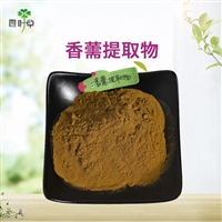 批发 香薷提取物