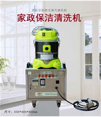 蒸汽清洗机重油污克星德国技术