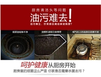 蒸汽清洗机持续蒸汽环保0排放