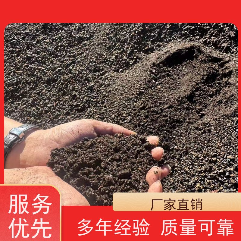 家用火山岩火山石（环保功能石）空气净化石 吸附甲醛 家居良品