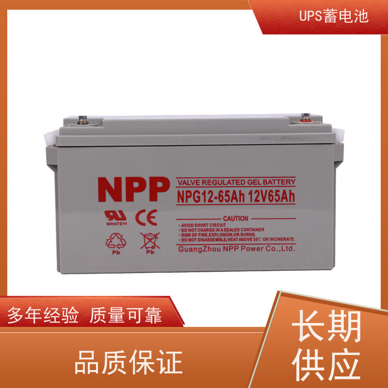 UPS电源电池 NPG12-38  铅酸胶体阀控式  维护保养