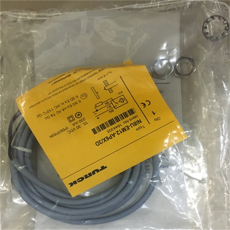 德国 TURCK固定区域式传感器 BLS28M-XX-1LT-S4-C