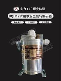 矿用本质安全型编码器BQH12A 旋转编码器