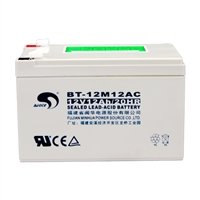 赛特蓄电池BT-12M24AT铅酸 12V24AH