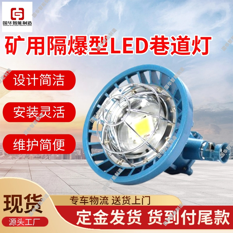 井下隧道专用照明灯LED冷光源DGS24/127L(B)矿用隔爆型巷道灯
