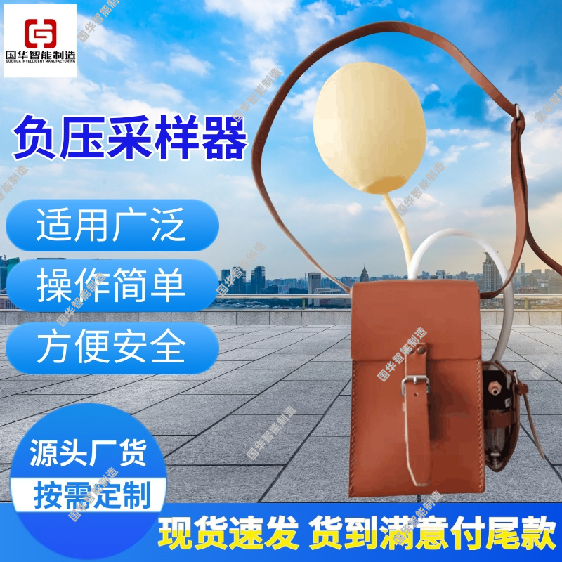 国华智能CFZ22(A)气体负压采样器采样精度高适用范围广