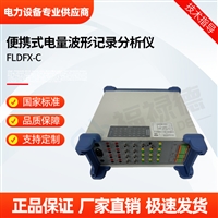 FLDFX-C便携式电量波形记录分析仪