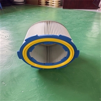 制药厂专用PTFE 除尘滤筒 325*300 