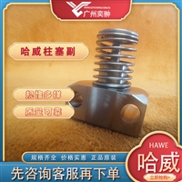 有库存HAWE哈威PE 13柱塞副原装进口PE系列泵配件